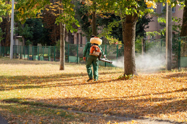 Best Termite Control Services  in Harker Heights, TX