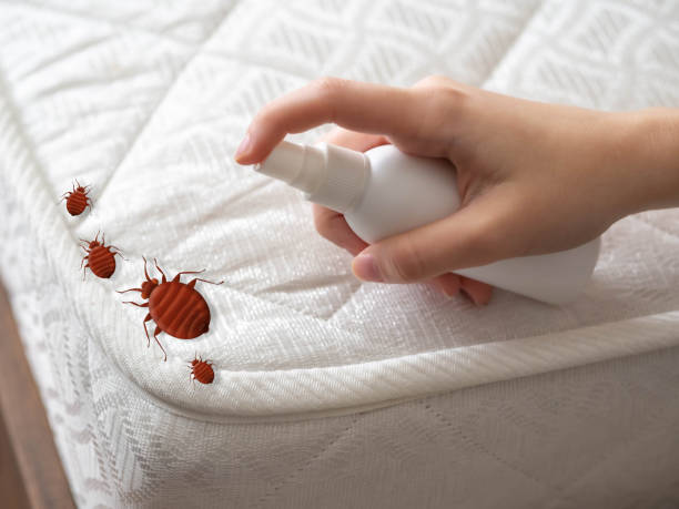 Best Bed Bug Extermination  in Harker Heights, TX