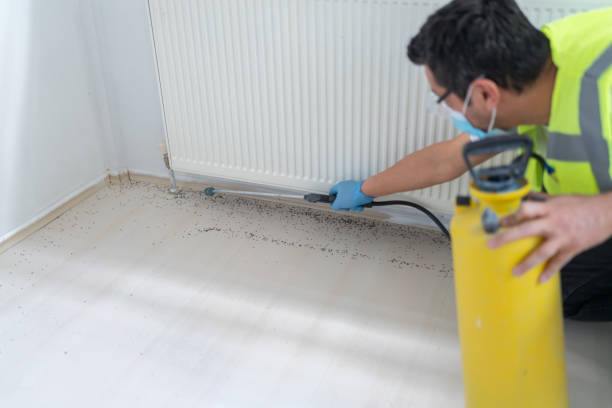 Best Pest Control Near Me  in Harker Heights, TX
