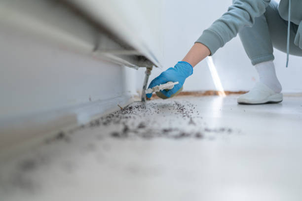 Best Affordable Pest Control Services  in Harker Heights, TX